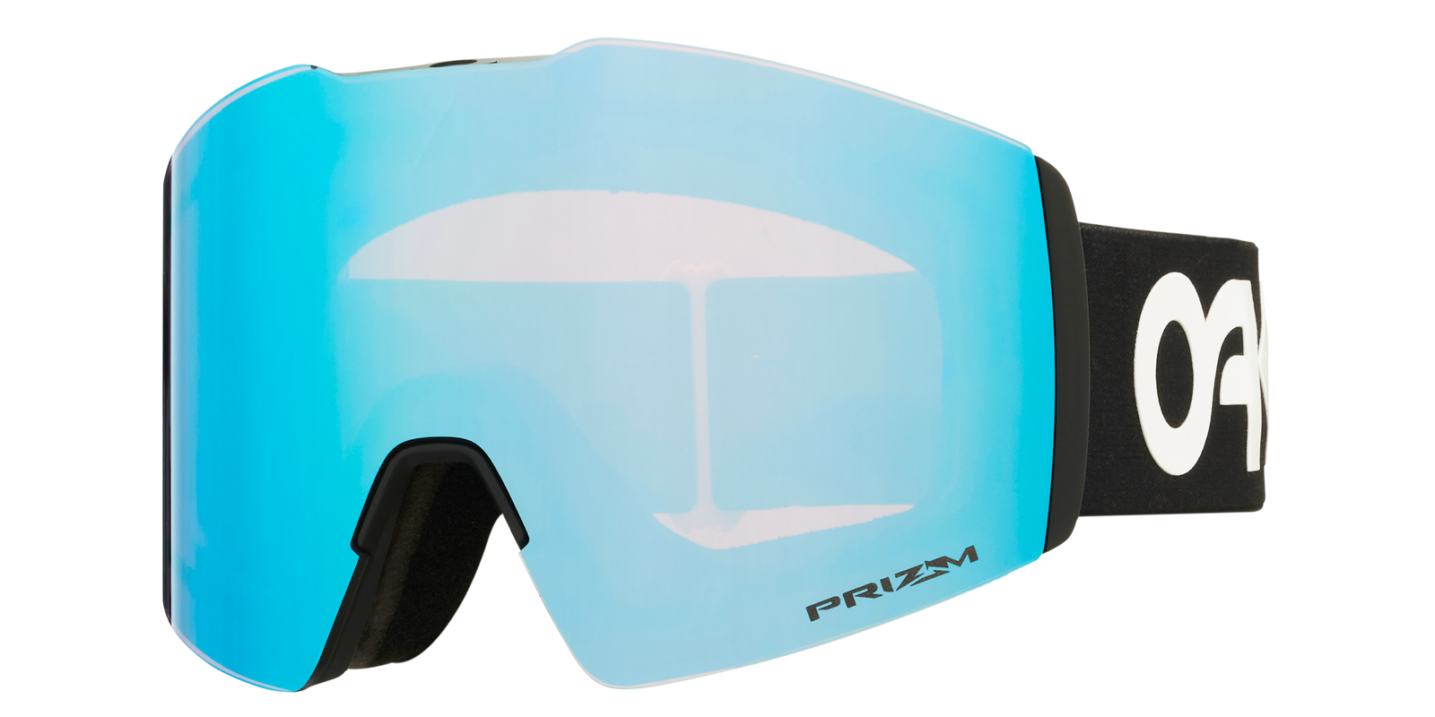 Fall Line L Snow Goggle