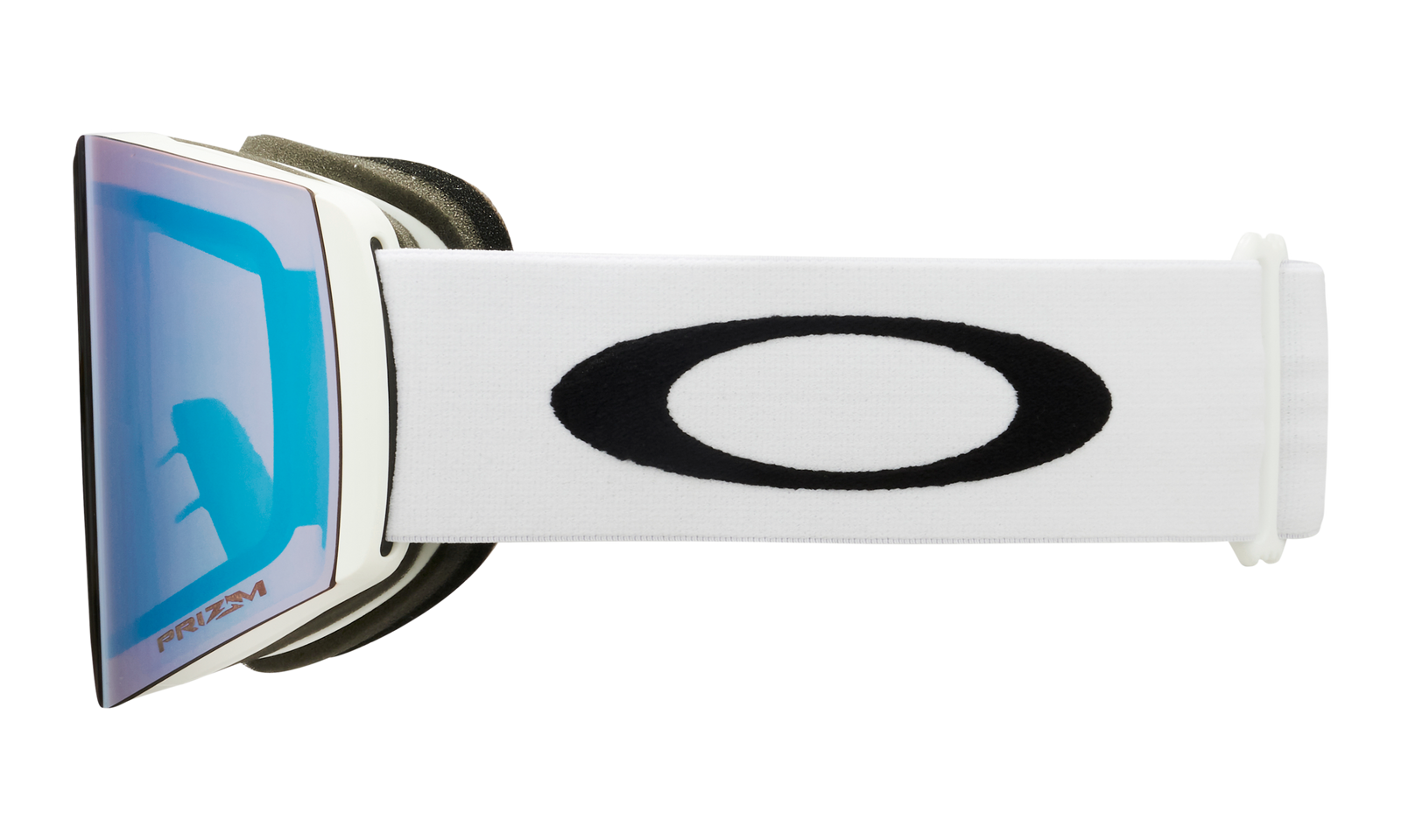 Fall Line L Snow Goggle