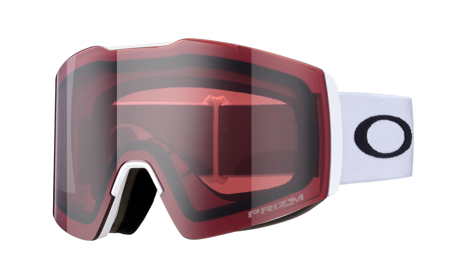 Fall Line L Snow Goggle