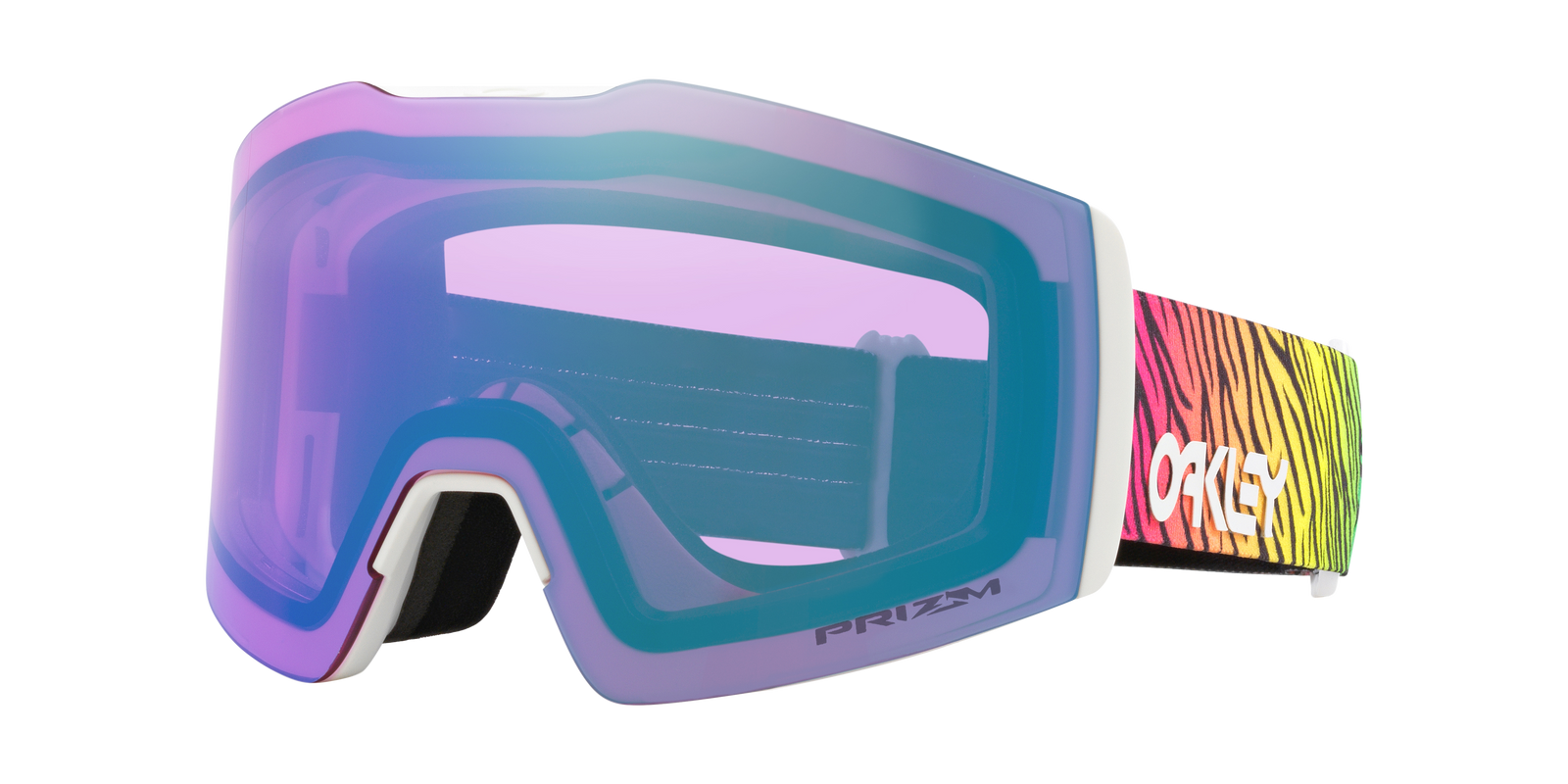Fall Line M Snow Goggle