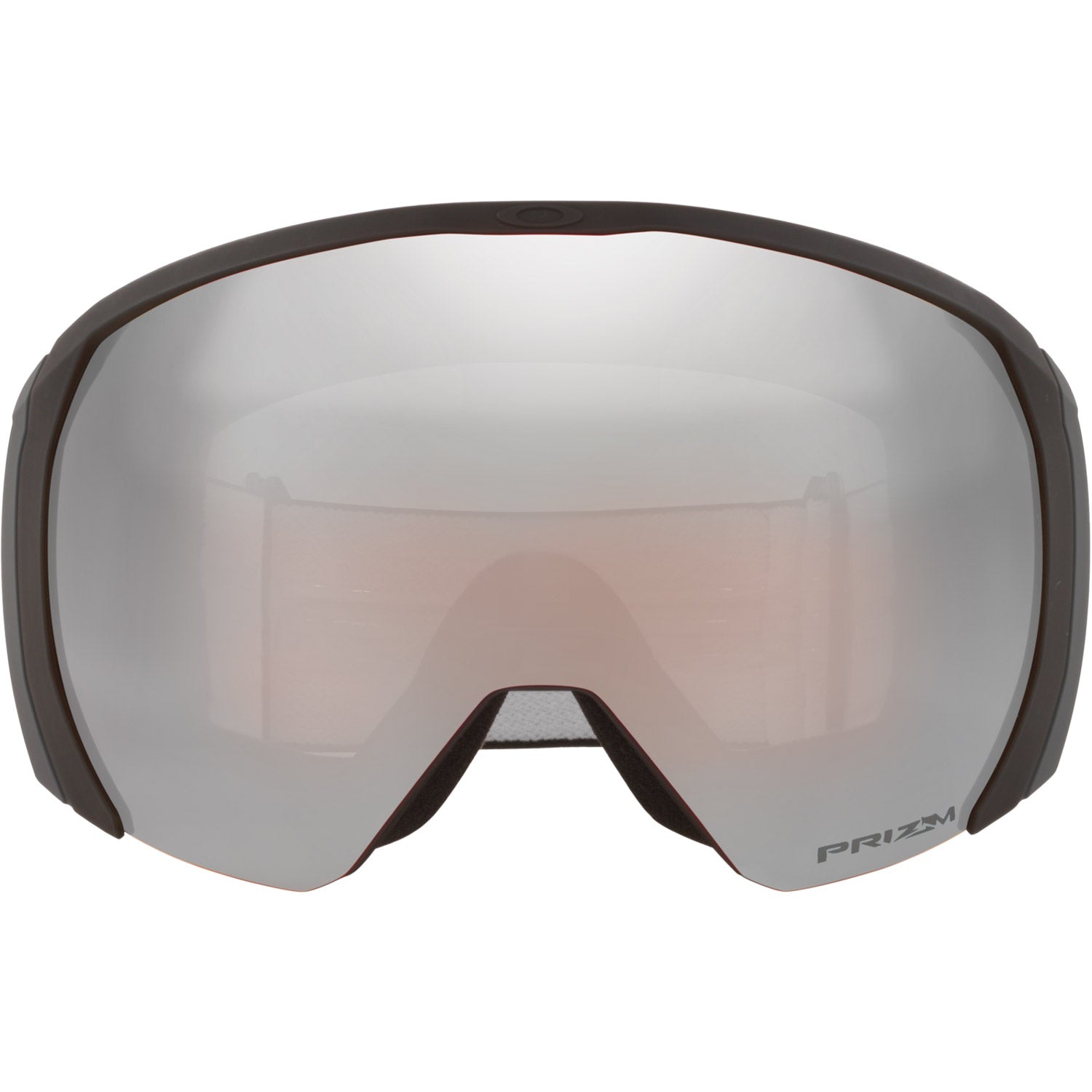 Flight Path L Snow Goggle