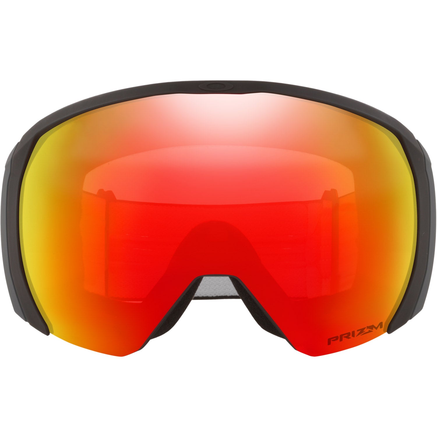 Flight Path L Snow Goggle