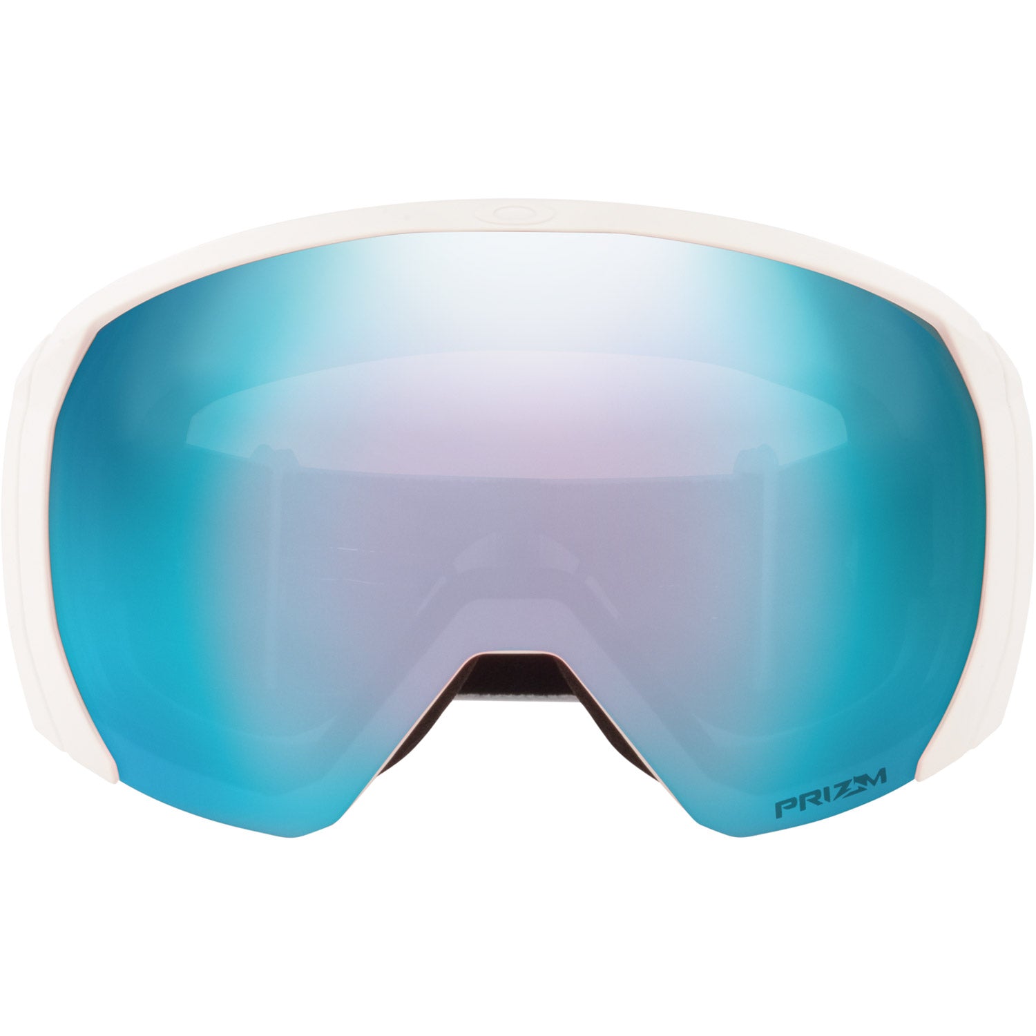Flight Path L Snow Goggle
