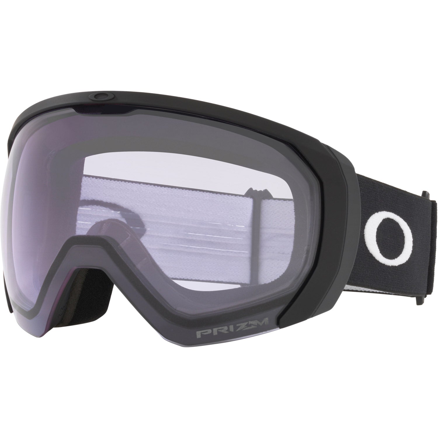Flight Path L Snow Goggle