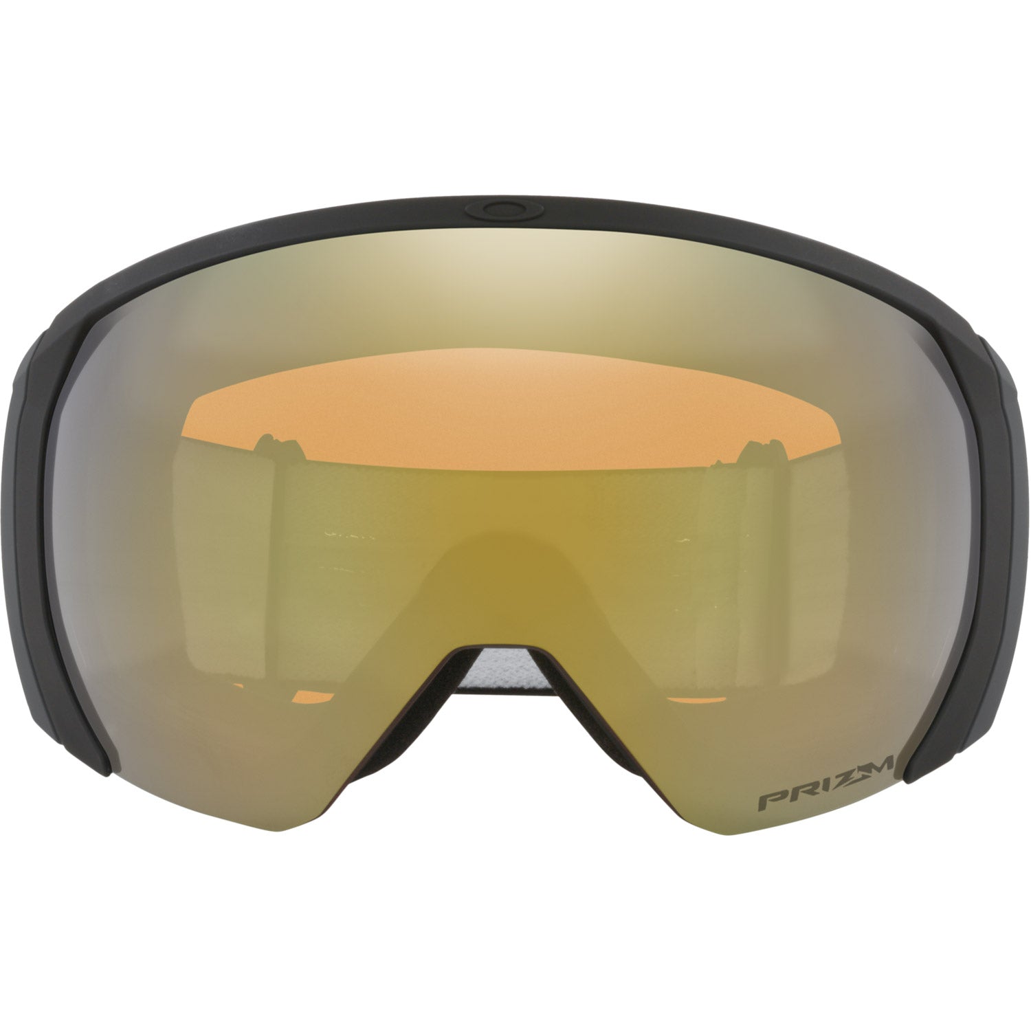 Flight Path L Snow Goggle
