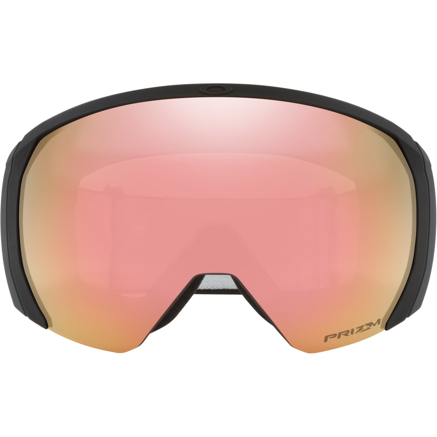 Flight Path L Snow Goggle