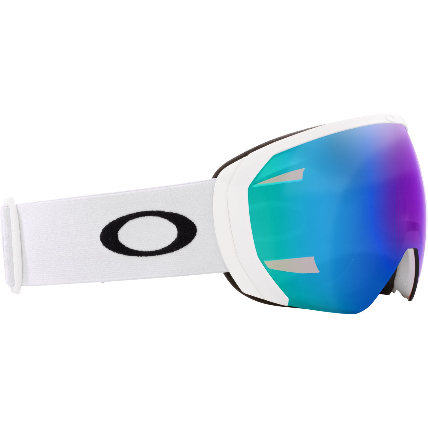 Flight Path L Snow Goggle