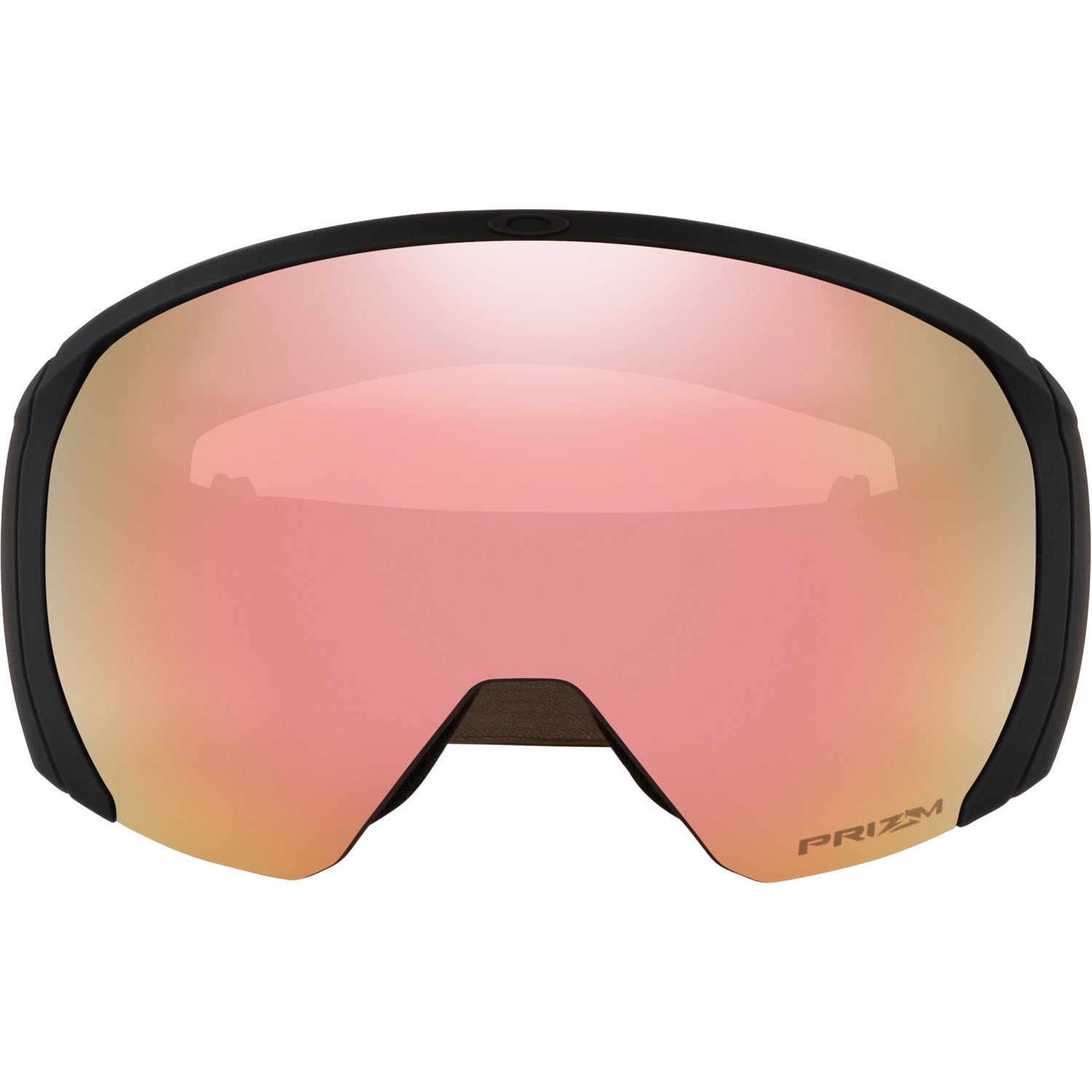 Flight Path L Snow Goggle