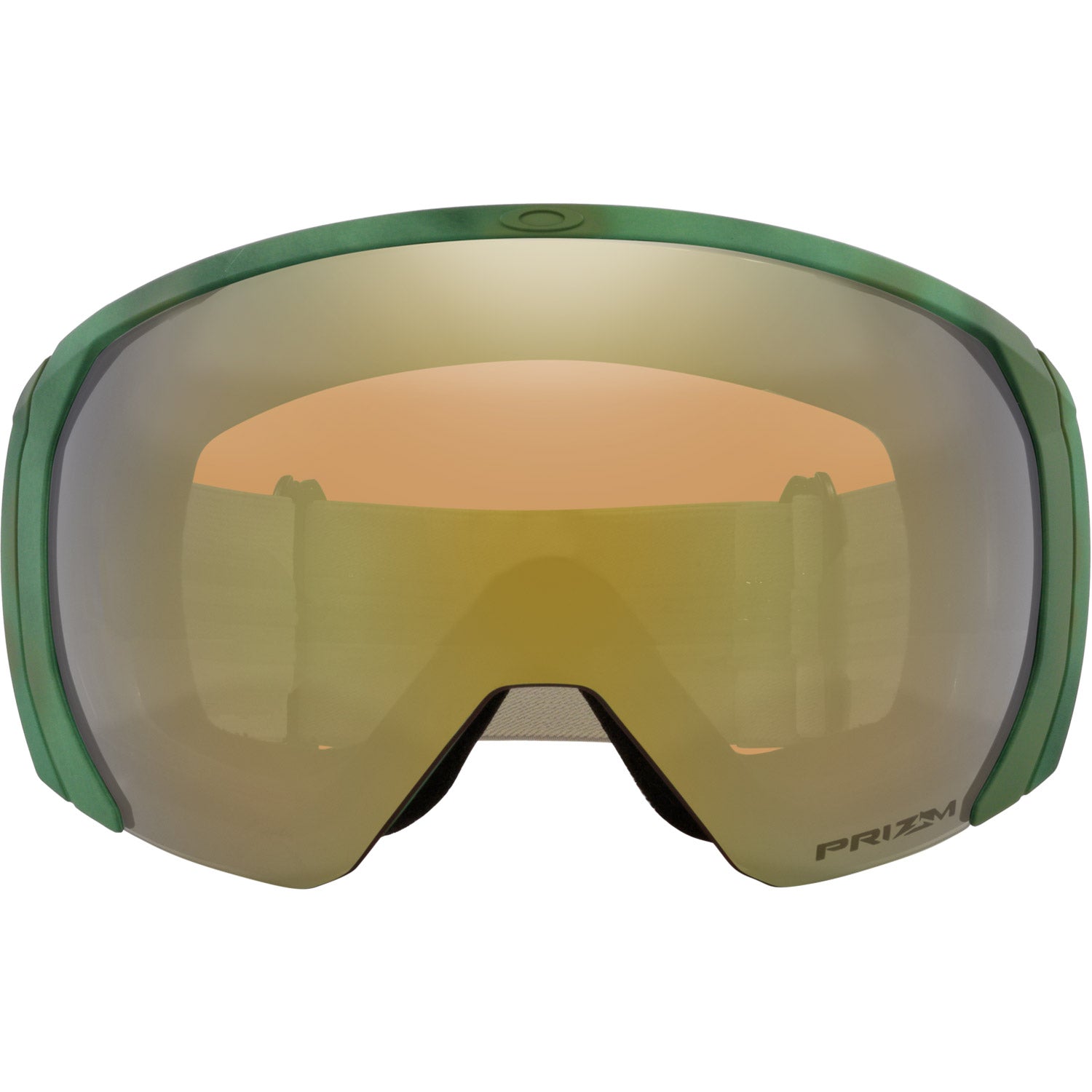Flight Path L Snow Goggle