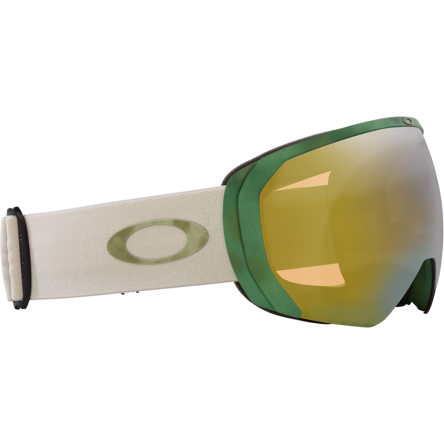 Flight Path L Snow Goggle