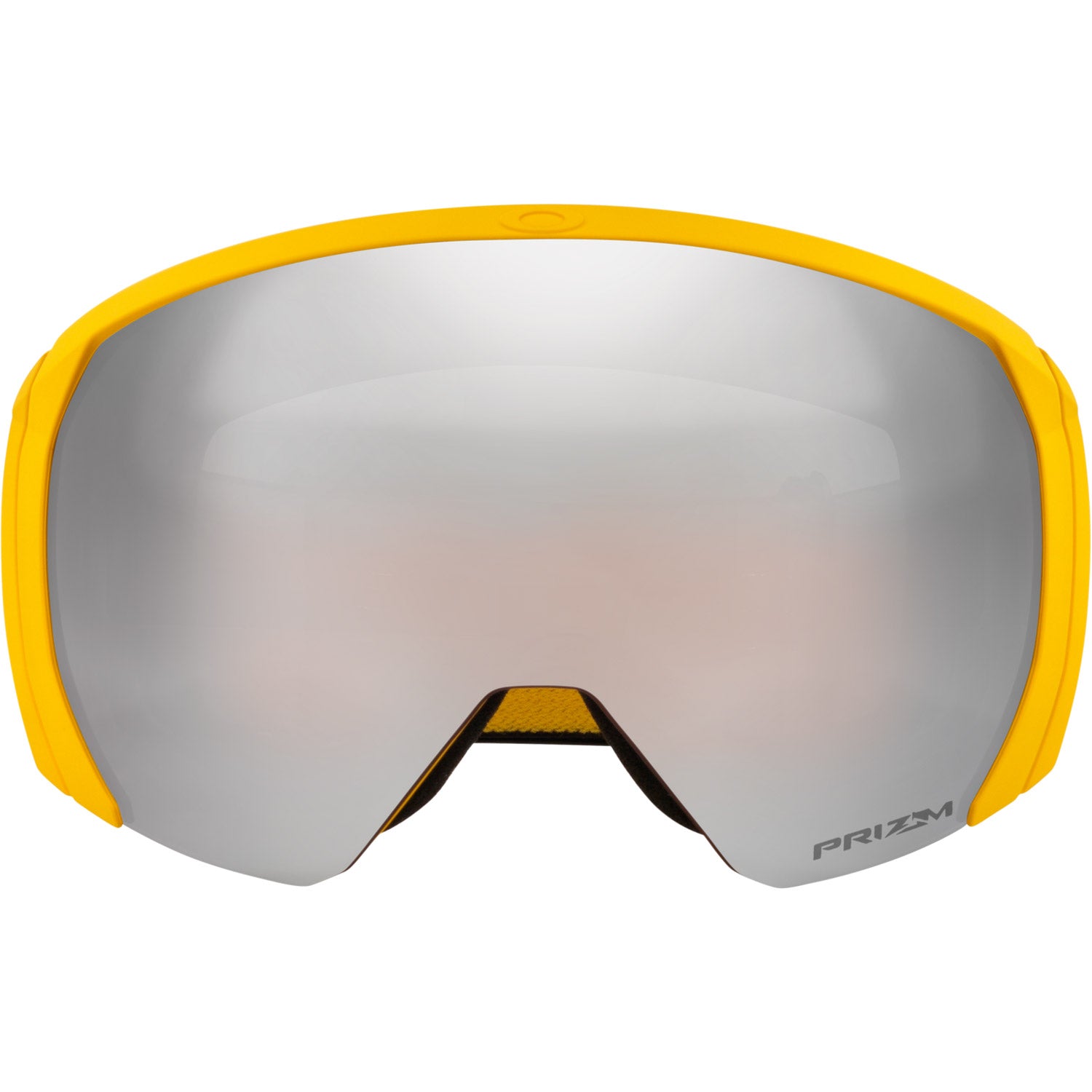 Flight Path L Snow Goggle
