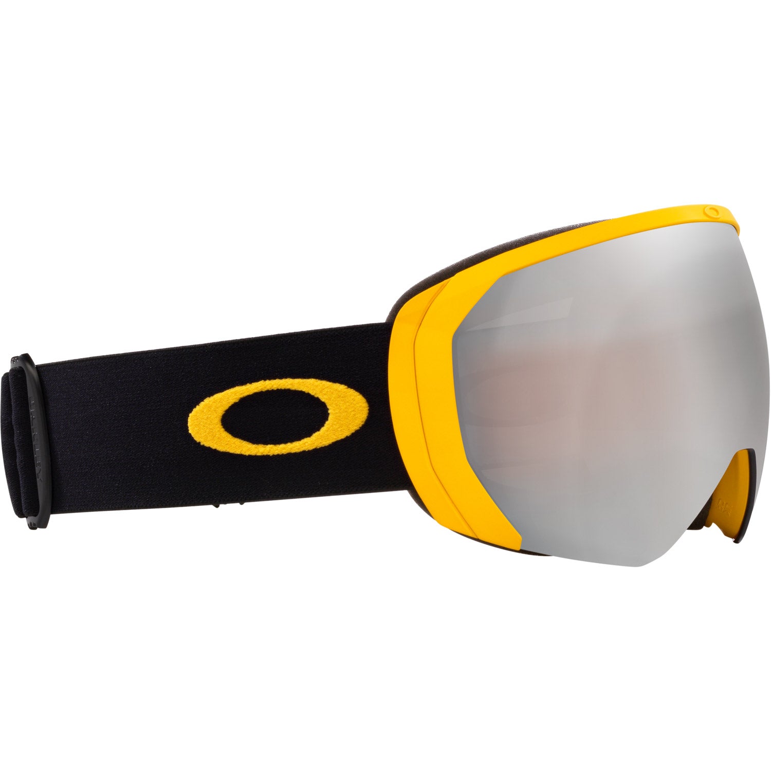 Flight Path L Snow Goggle