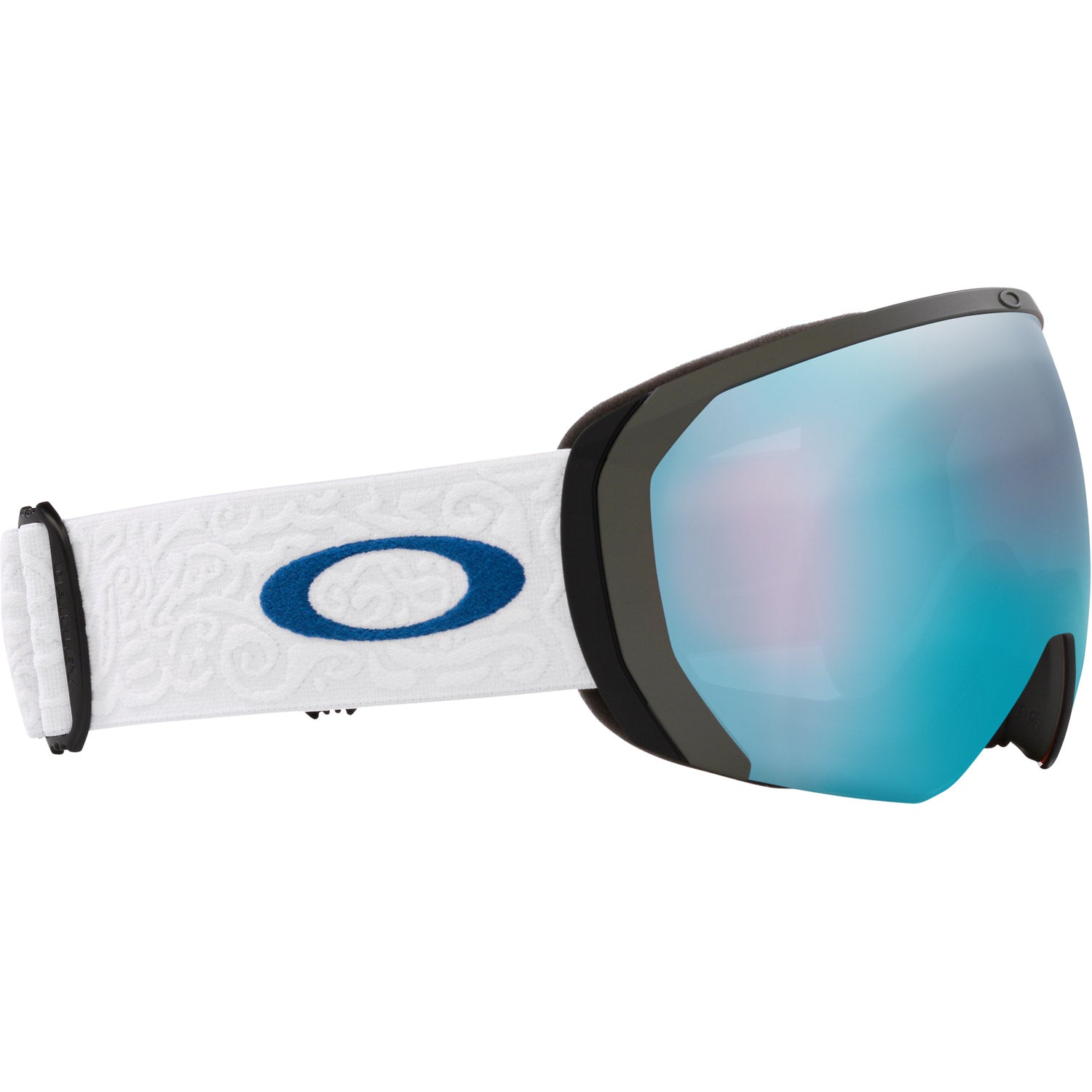 Flight Path L Snow Goggle