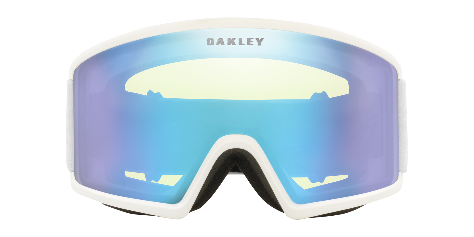 Target Line L Snow Goggle