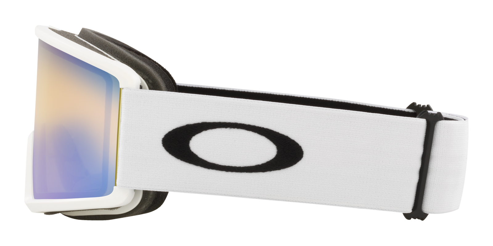 Target Line L Snow Goggle