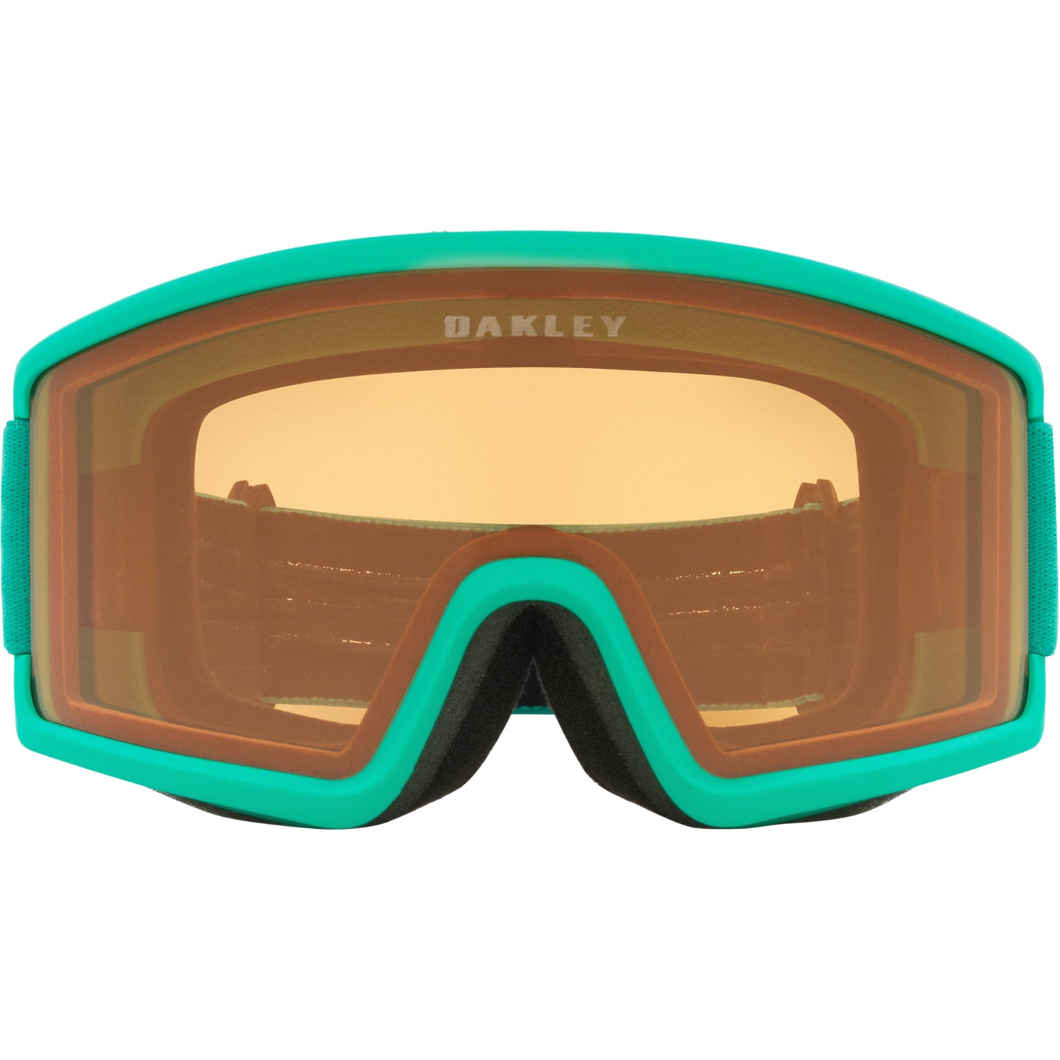 Target Line L Snow Goggle
