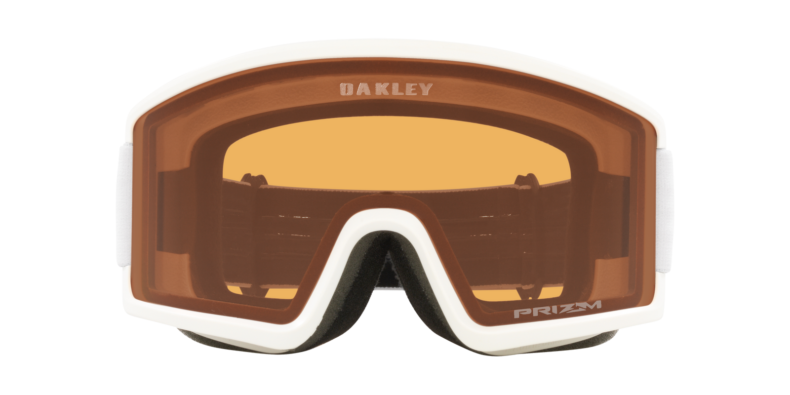 Target Line L Snow Goggle