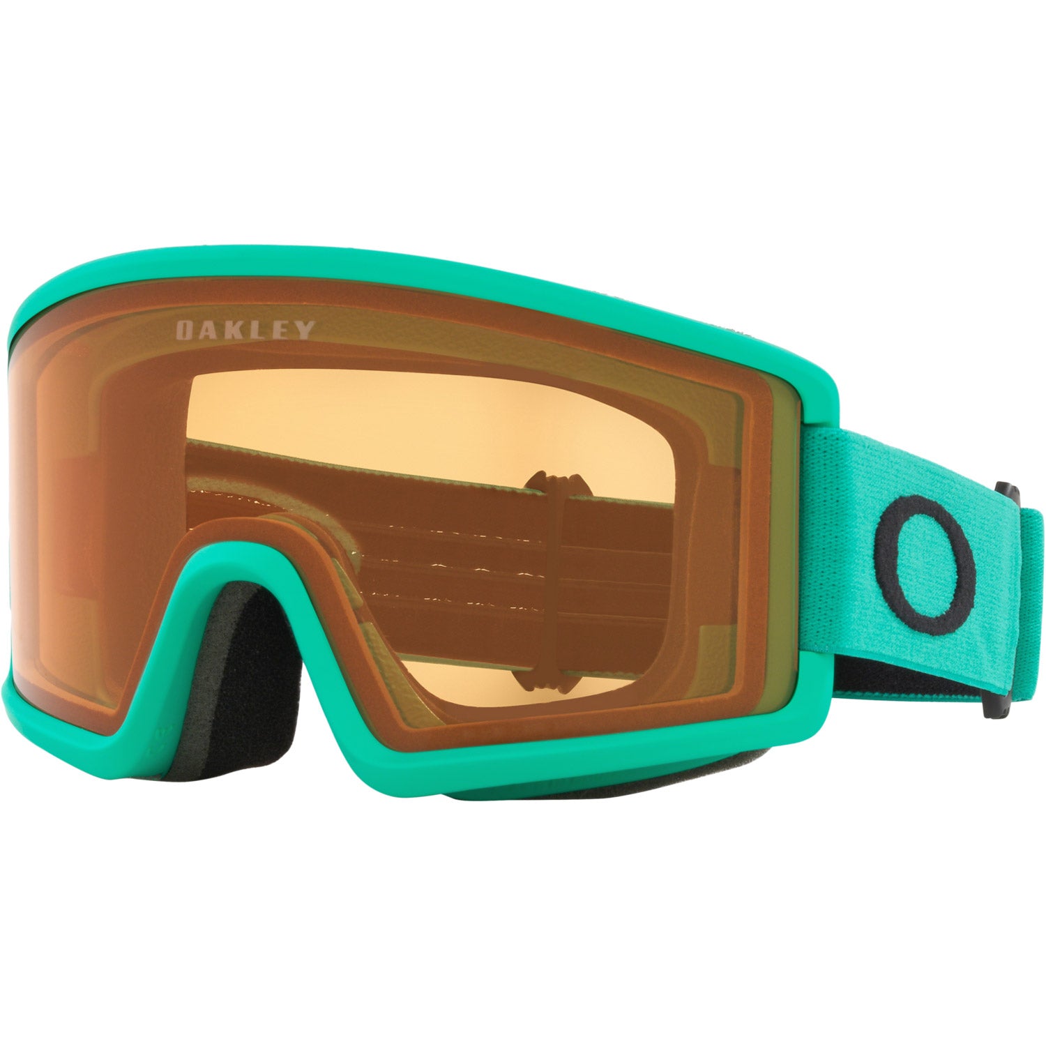 Target Line M Snow Goggle