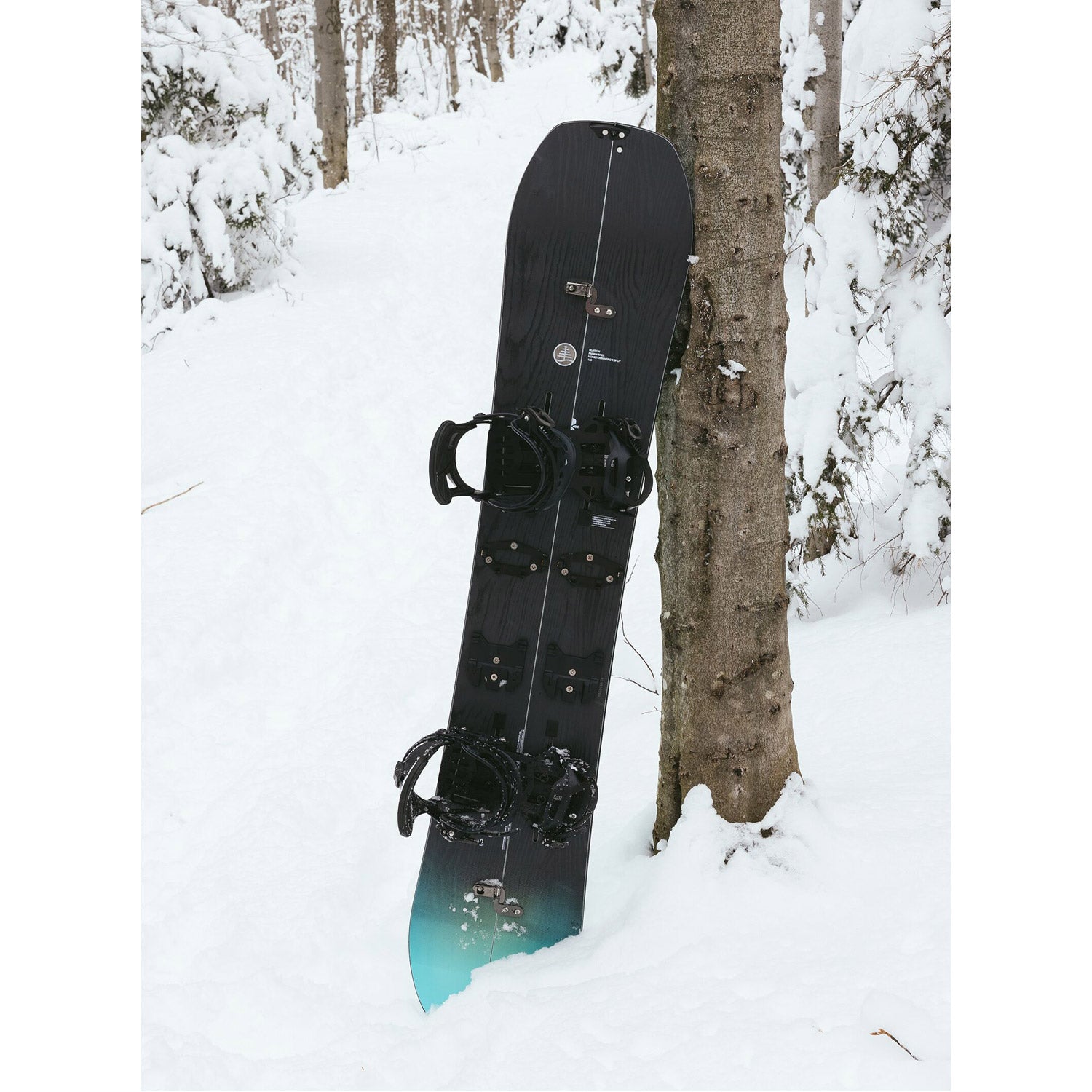 Family Tree Hometown Hero X Camber Splitboard 2022