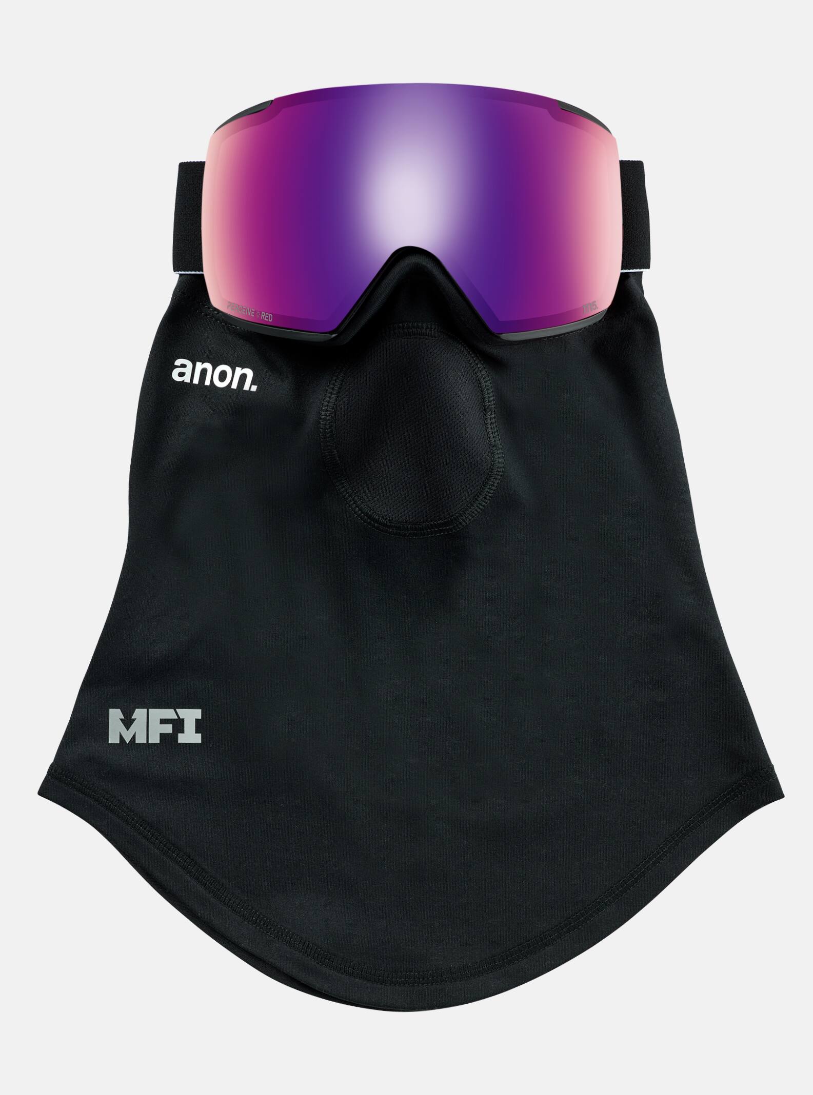 M5 Snow Goggle