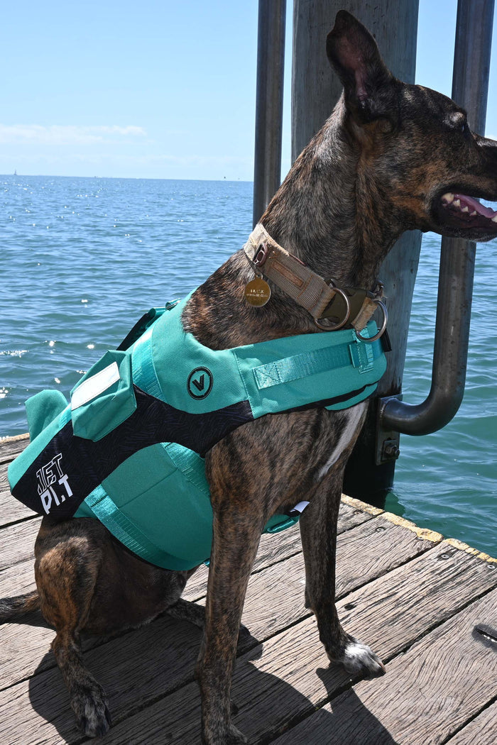 Venture Dog Pfd Life Jacket
