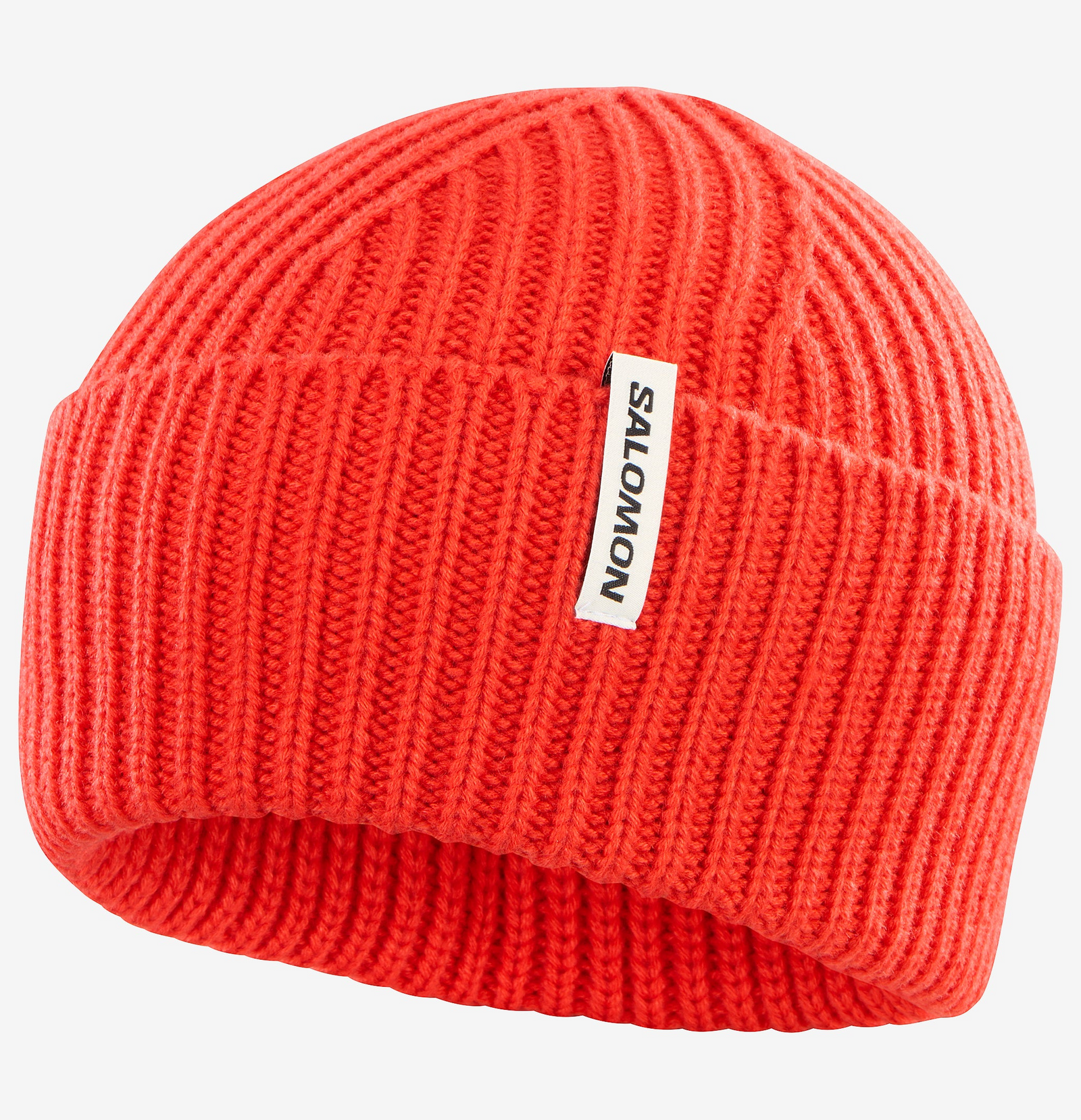Snowbird Beanie