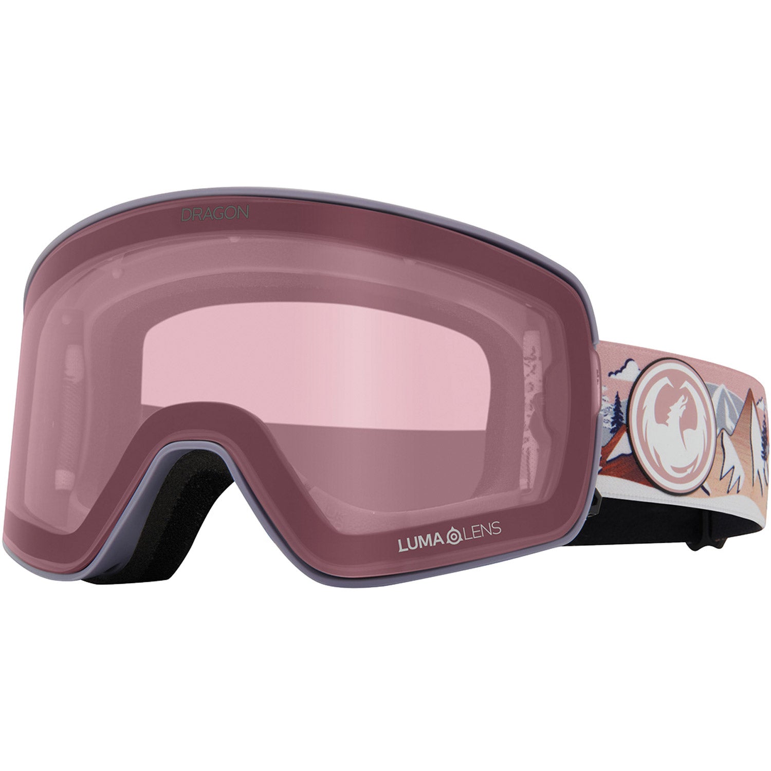 NFX2 Low Bridge Snow Goggle
