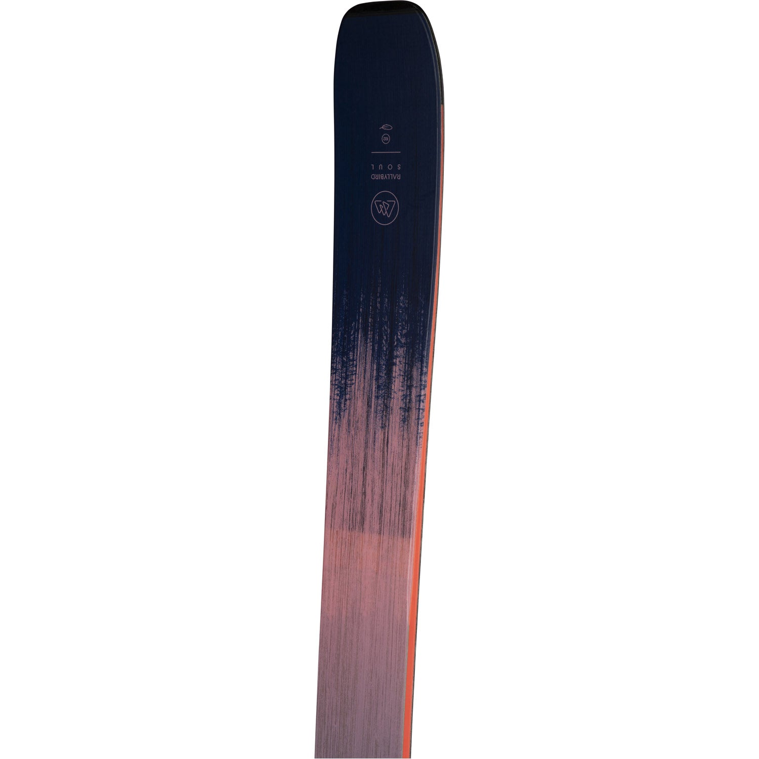 Rallybird Soul 102 Skis 2026