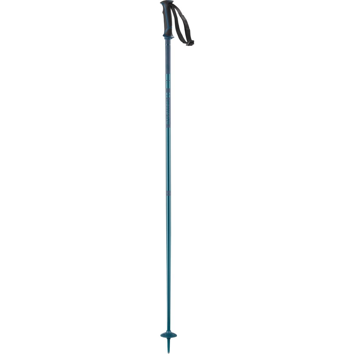 Arctic Ski Pole