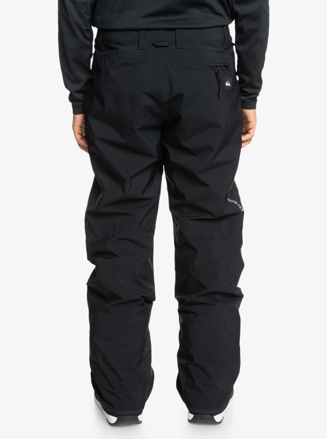 Mens Mission GORE-TEX Snow Pants