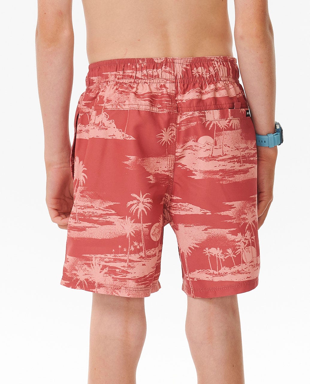 Dreamers Volley 15" Boardshort - Boys (8-16 years)