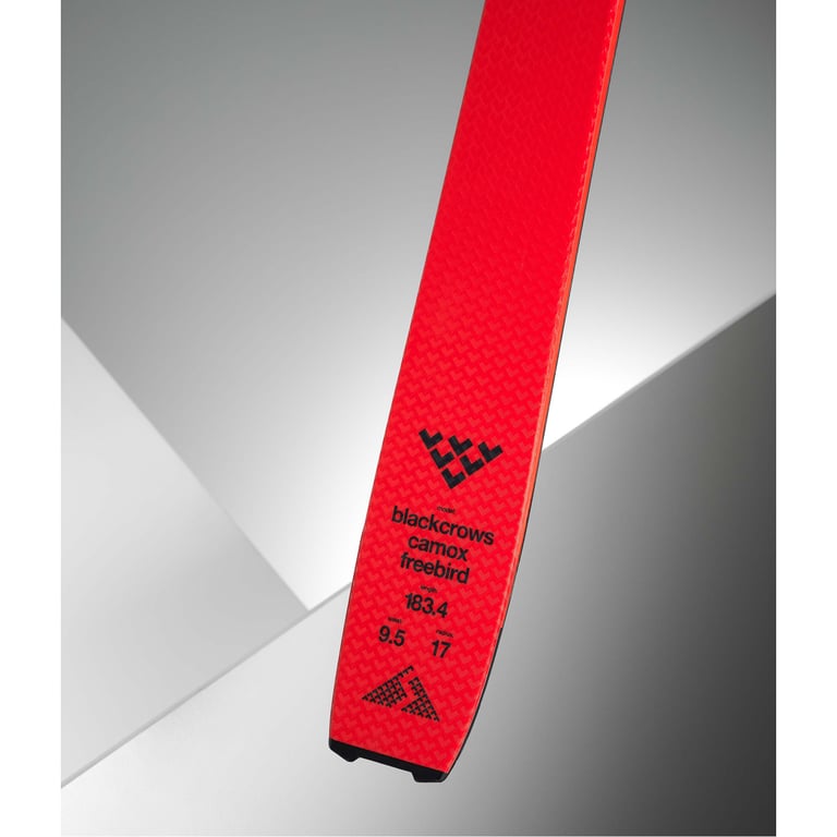 Camox Freebird Skis - Image 4