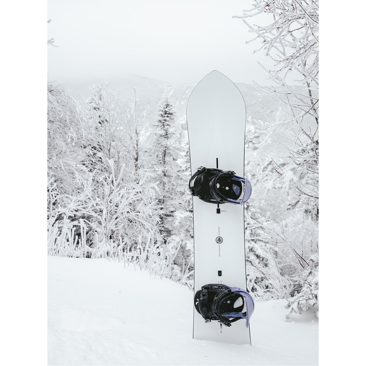 Family Tree 3D Double Dog Camber Snowboard 2023