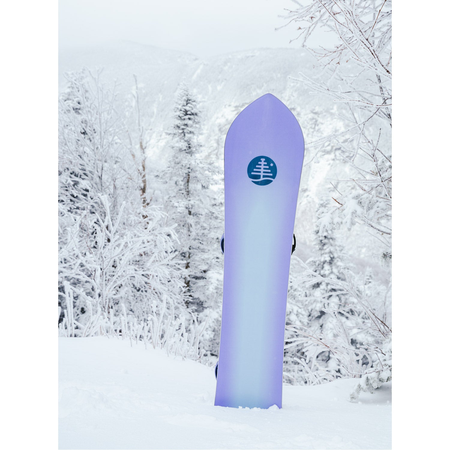 Family Tree 3D Double Dog Camber Snowboard 2023