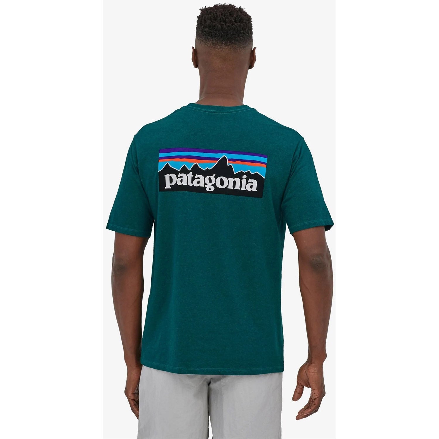 Patagonia Mens P-6 Logo Responsibili-Tee Borealis Green