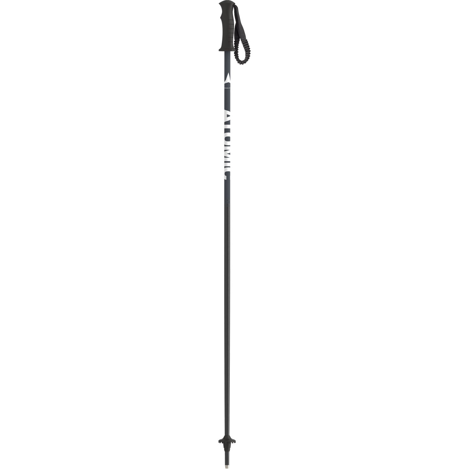 AMT Jr Ski Poles