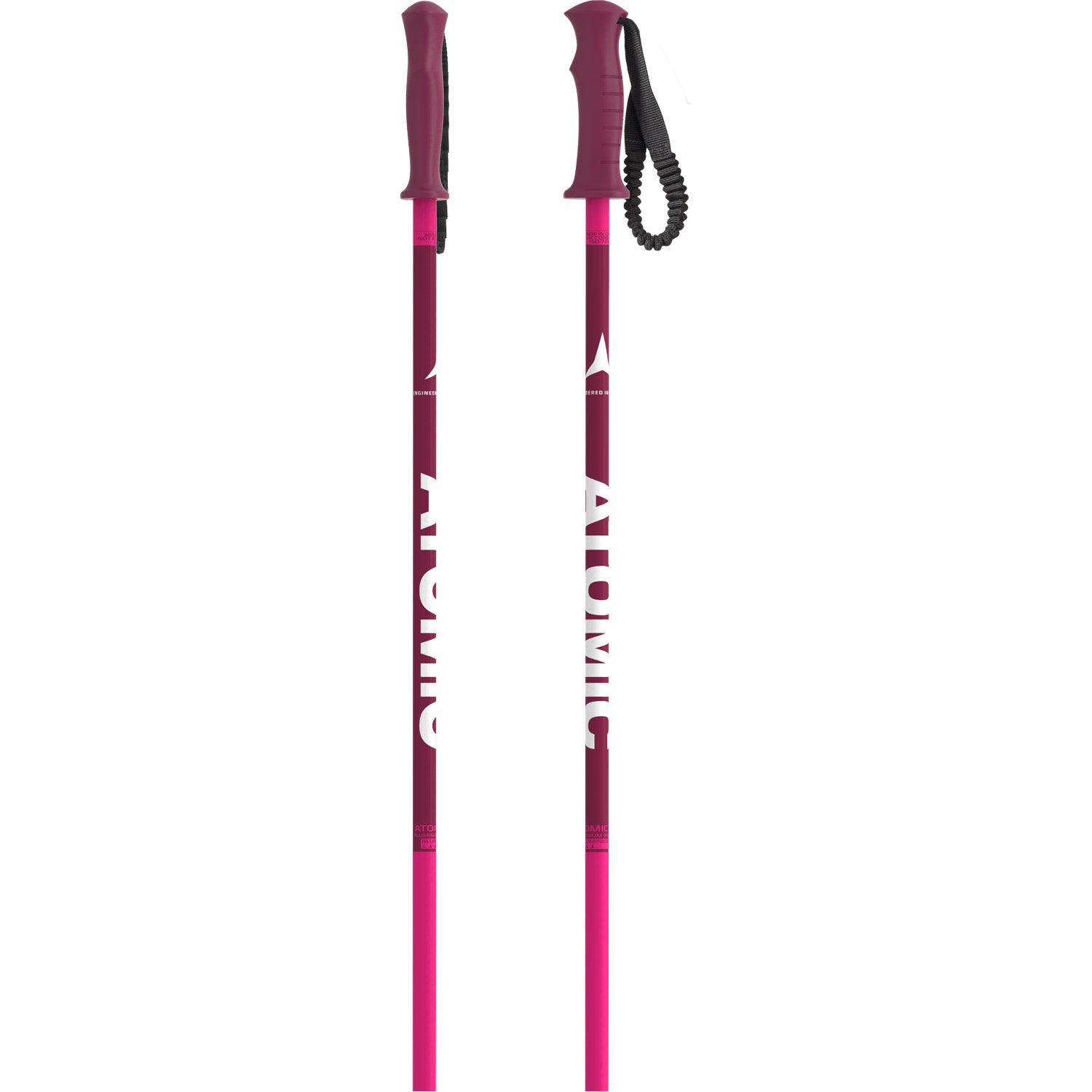 AMT Jr Ski Poles