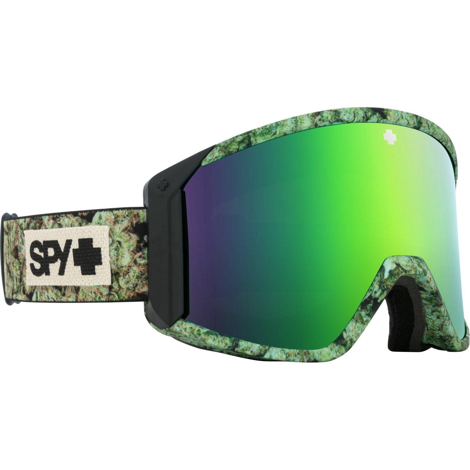 Raider Snow Goggle