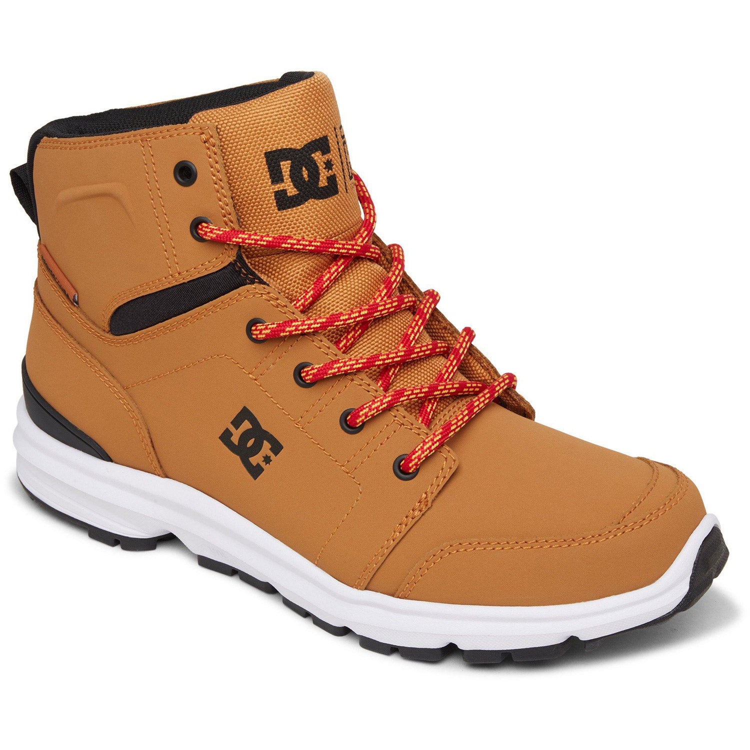 DC Torstein Winter Boot 2021