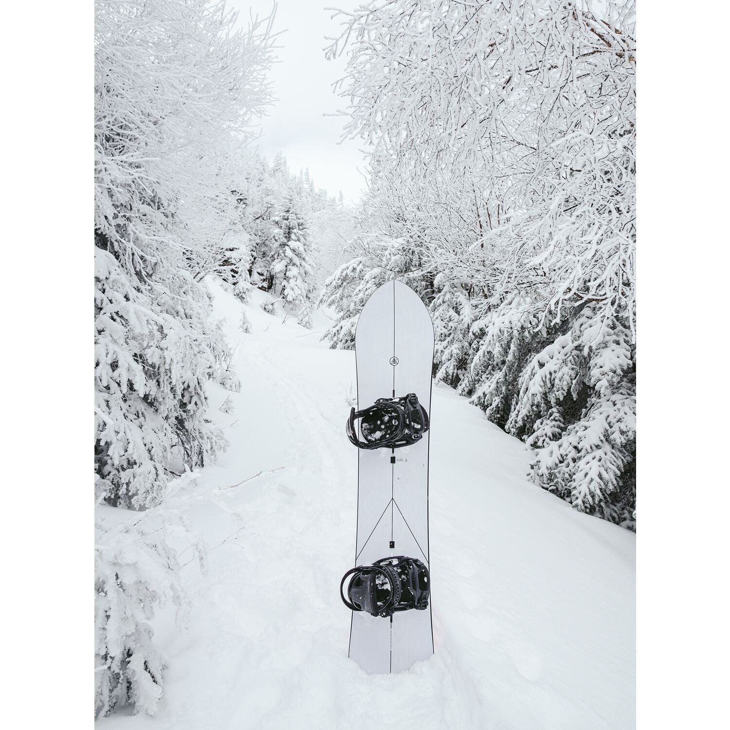 FT Show Stopper Snowboard 2023