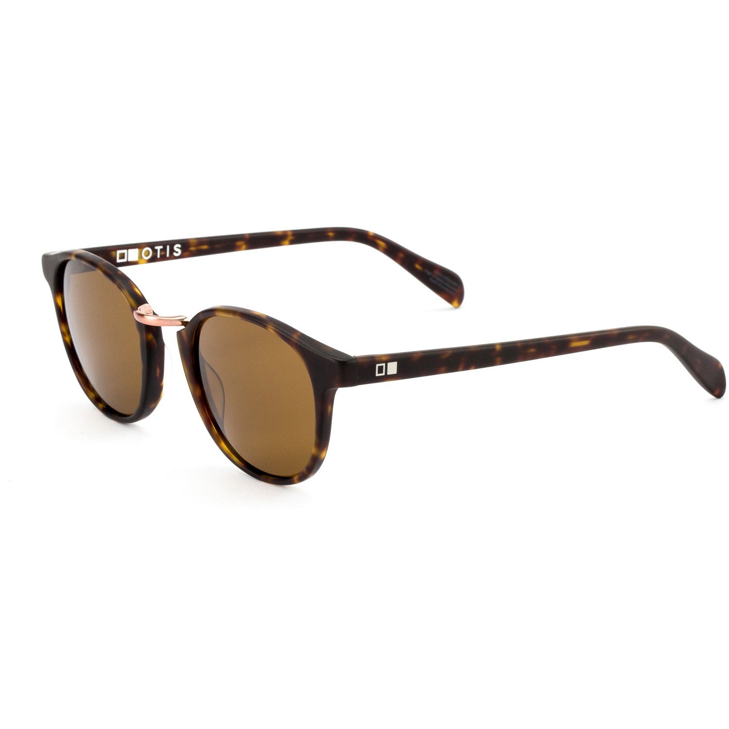 A Day Late Sunglasses