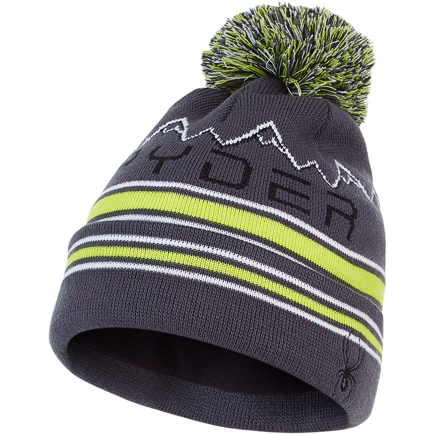 Spyder Icebox Boys Beanie 2021
