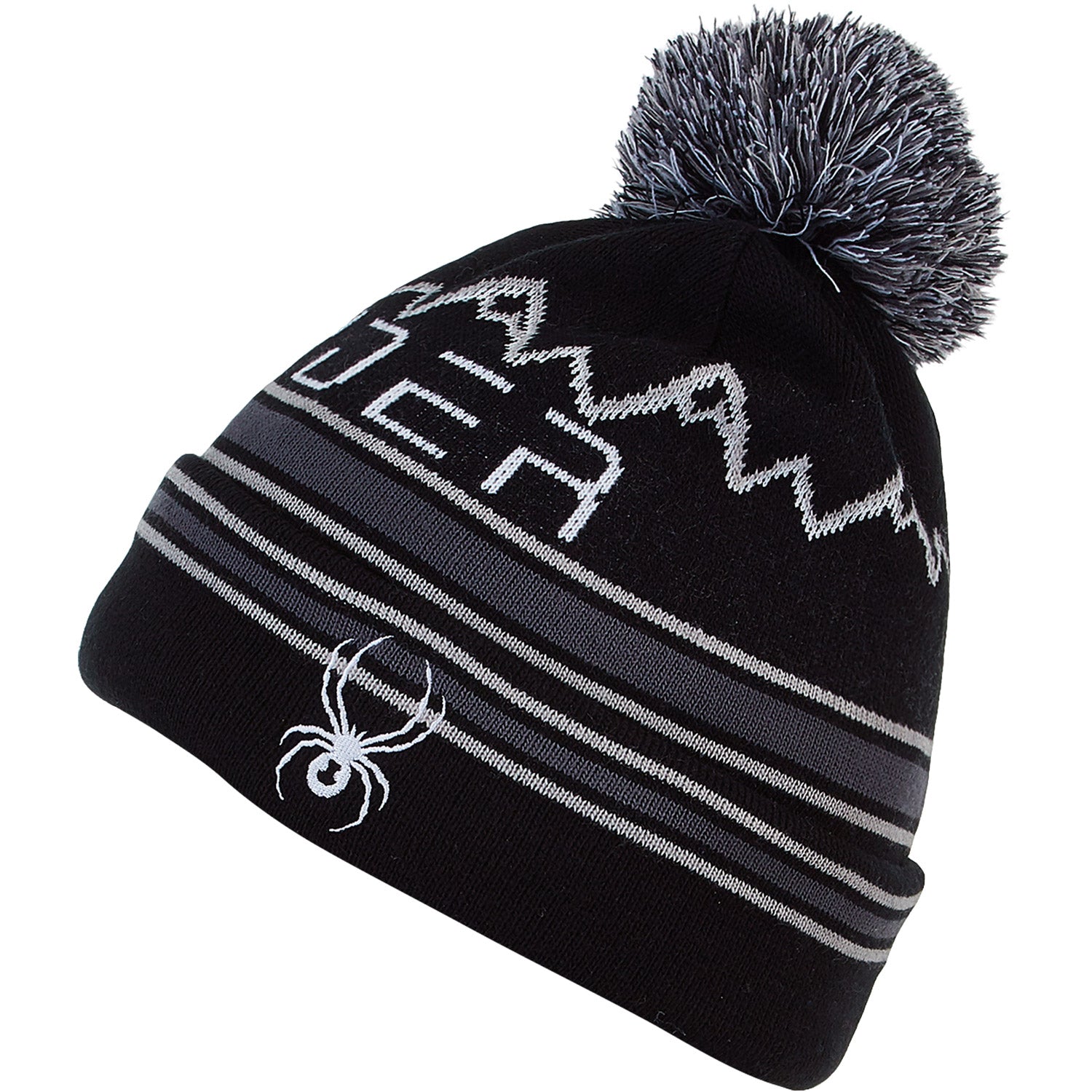 Spyder Icebox Mens Beanie 2021