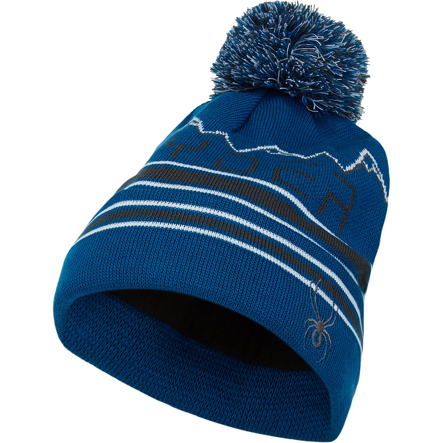 Spyder Icebox Mens Beanie 2021