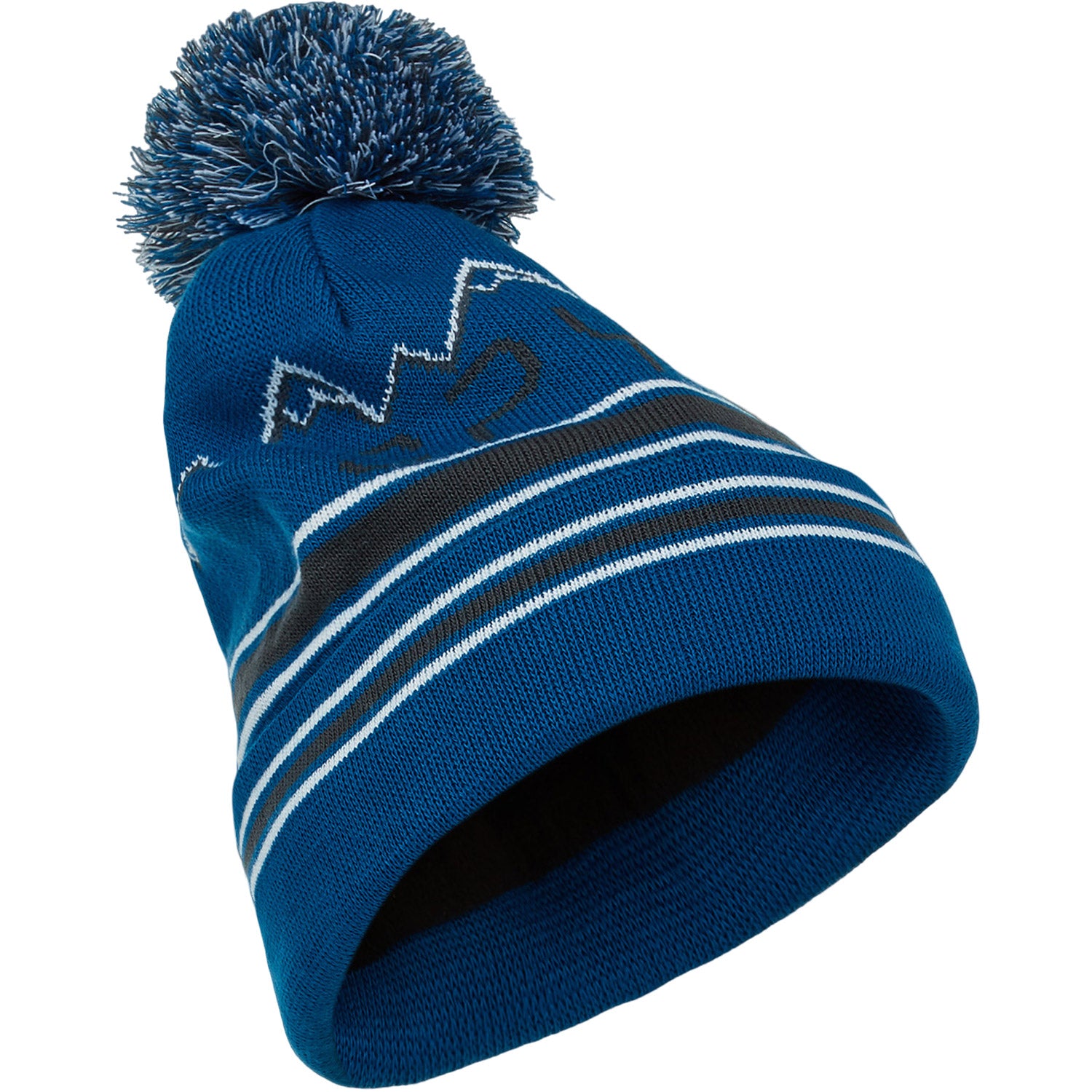 Spyder Icebox Mens Beanie 2021