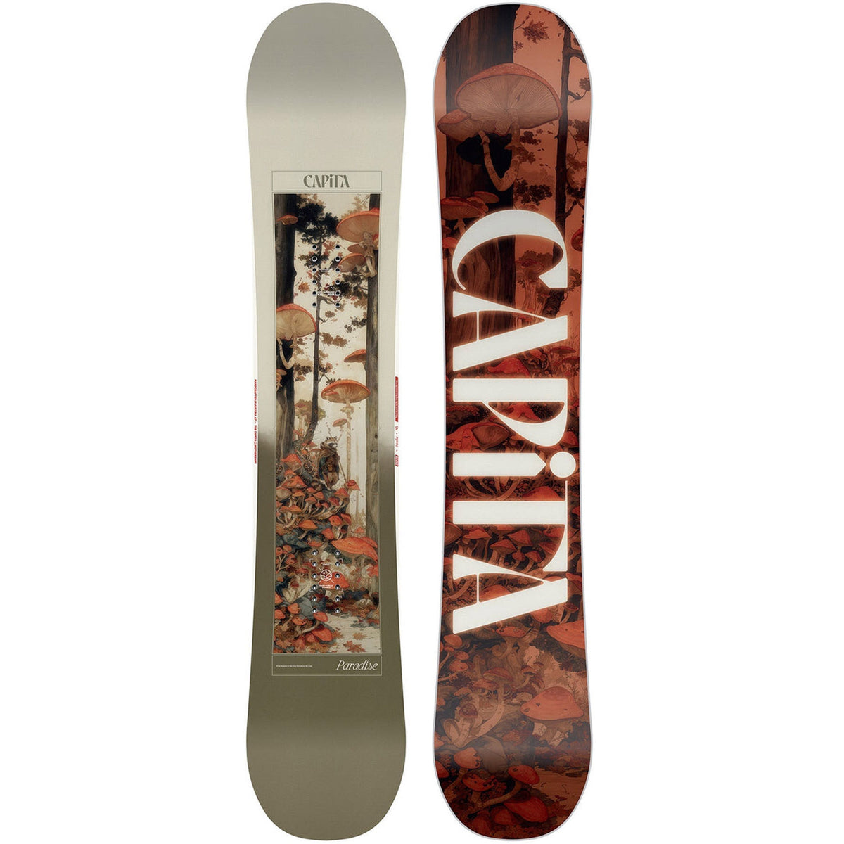 Paradise Snowboard 2026