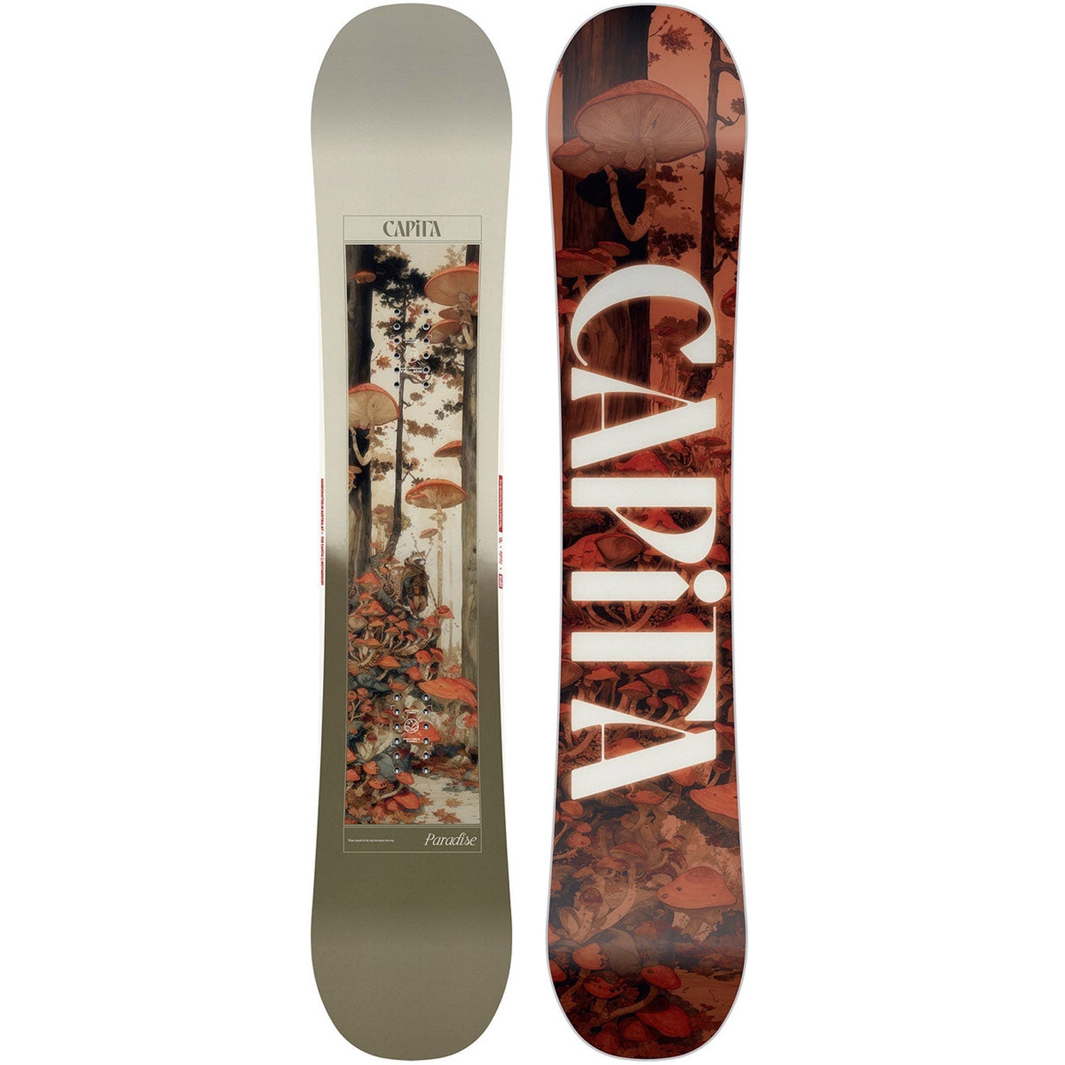 Paradise Snowboard 2026