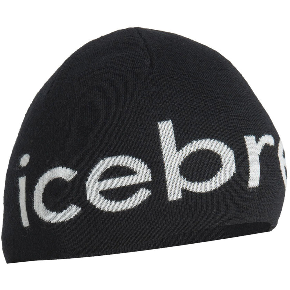 Women's Merino Icebreaker Beanie