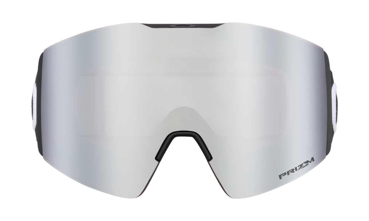 Fall Line L Snow Goggle