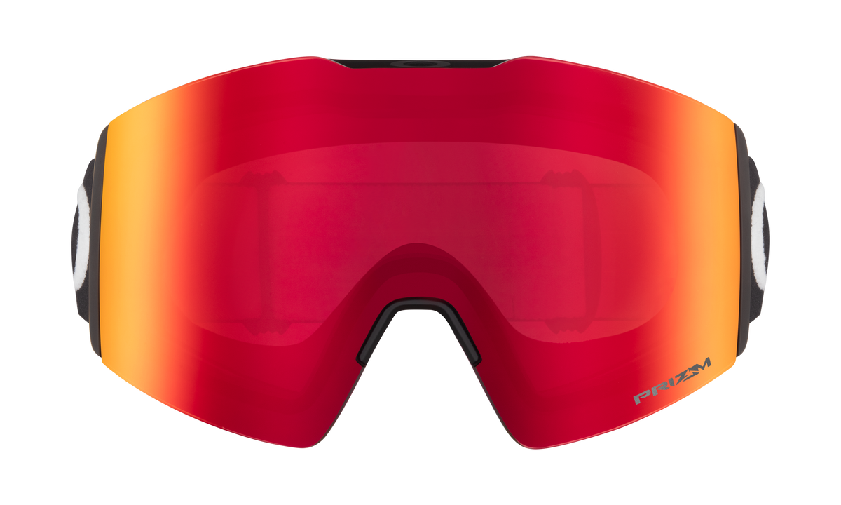 Fall Line L Snow Goggle
